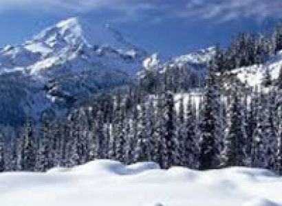 Super Deluxe Five Star Package(Gulmarg)