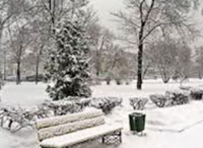 Budget package(Gulmarg)