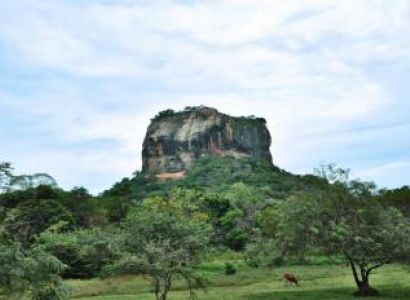 Negombo – Anuradhapura – Sigiriya – Polonnaruwa – Kandy – Pinnawala – Nuwara Eliya Tour