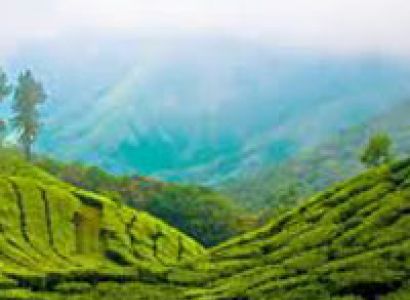 Chesmatic Kerala Tour