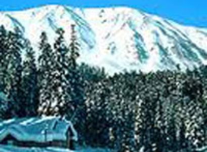 7 Days Chandigarh City & Manali Tour Package Budget