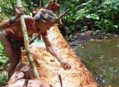 Mentawai Bukit Tinggi Tour Package