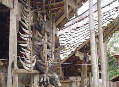 Discover Sulawesi 15 Days Package