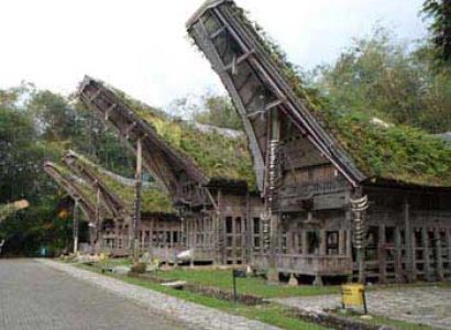 Toraja Cultural Tour 4 Days Package