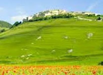Darjeeling Tour 08 Nights / 09 Days