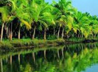 Kerala Honeymoon Holidays (06 Nights / 07 Days)
