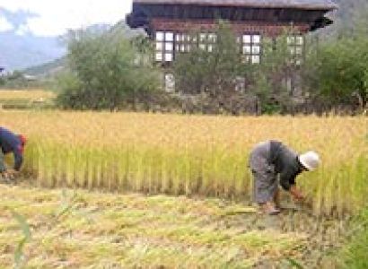 Legendary Valleys of Bhutan Tour