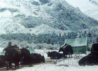 Snow Leopard Trek Package