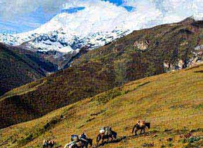 Paro - Mount Jomolhari Trek 12N 13D Tour