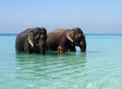 Andaman Tour Package (A)