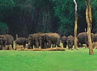 Thekkady - Alleppey Package