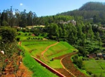 Ooty Kodaikanal Package
