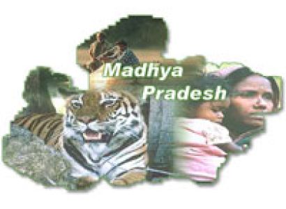 Beauty, Wild & History