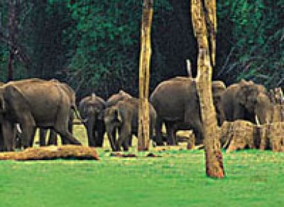 Kerala Beach Tour Package