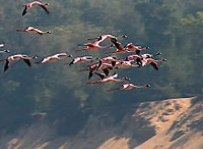 Odisha Eco Tourism Package