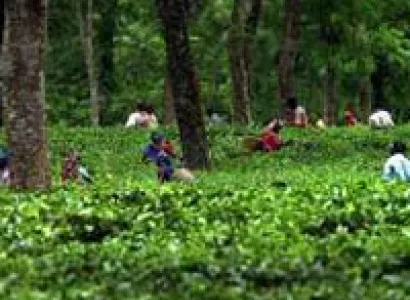 Frontier tribes of north east India Tour