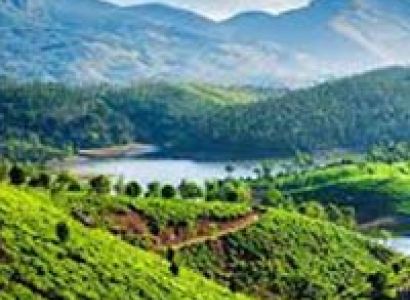 Darjeeling & Kalimpong with Gangtok Tour