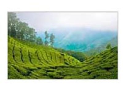 Best of South India Tour