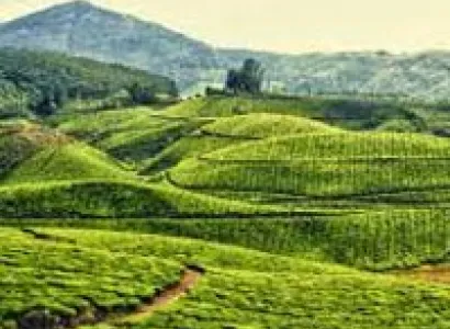 Kerala Hillstation Tour