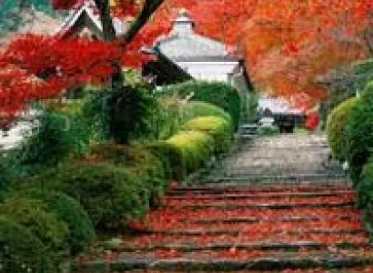 Kerala with South India Temple Tour