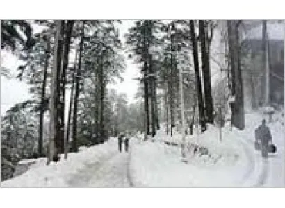 Jammu - Patnitop - Katra Tour - 2 Nights /3 Days