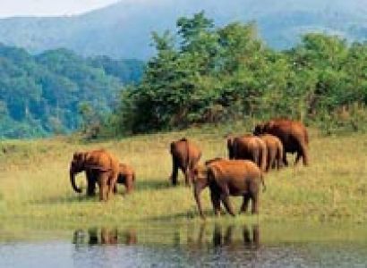 Special Kerala Holiday Package - 3N/4D Tour