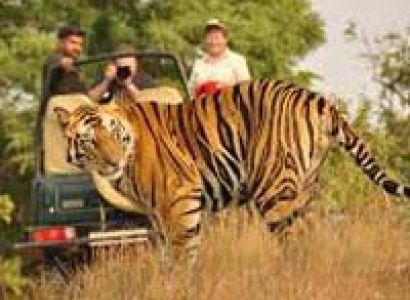 Delhi - Jaipur - Agra Tour with Ranthambore