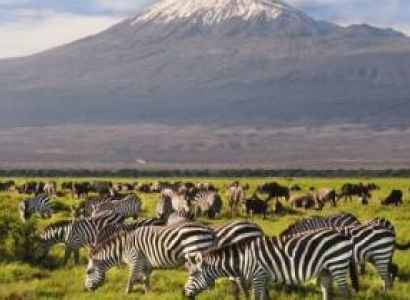 Aberadare National Park - Lake Nakuru - Masai Mara - Nairobi Tour