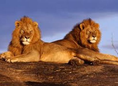 Cape Town - Knysna - Sun City - Kruger - Jo