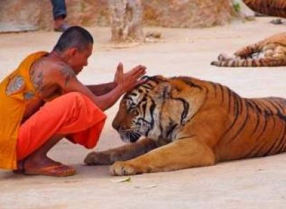 Pattaya - Bangkok Tour