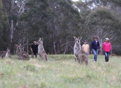 Australia Package Tour