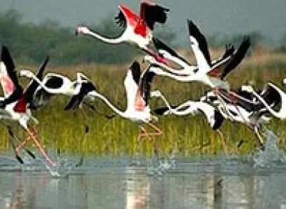 Bharatpur Weekend Tour frm Delhi