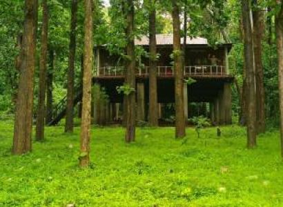 TopSlip One Day Package