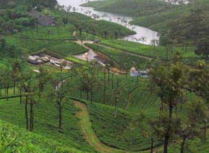 Pollachi & Valparai One Day Package