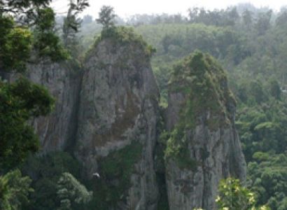 Kodaikanal One Day Package