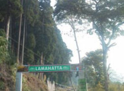 Lamahatta Tour