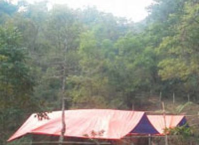 3 Nights 4 Days at Dooars