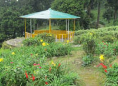 3 Nights and 4 Days Special Packages