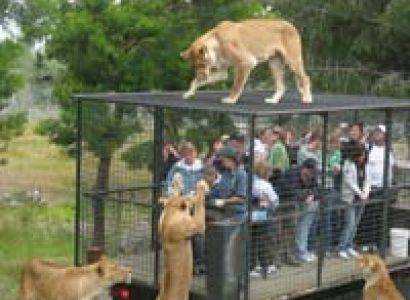 Wildlife Explore in Tamil Nadu Package