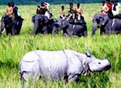 East India Wildlife Tour