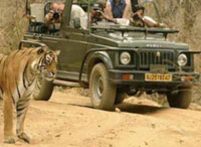 3 Days Sariska Wildlife City Tour