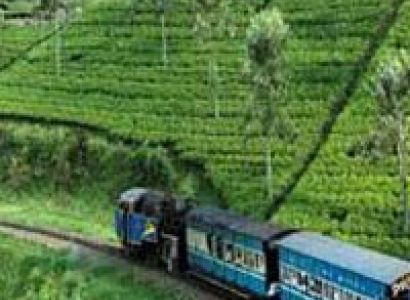 One day Tour Type – VII