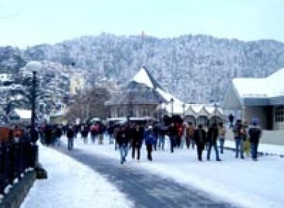 Heritage Tail Package