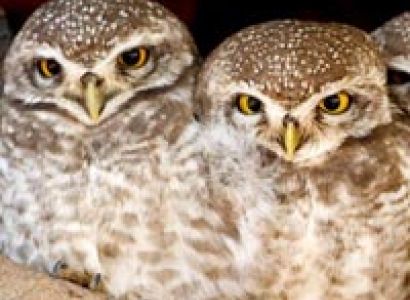 Delhi - Khajuraho Tour..