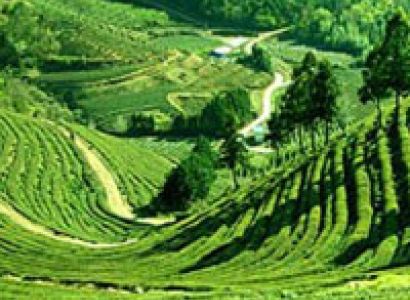Darjeeling Sikkim Tour