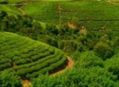 Kandy - Colombo Tour