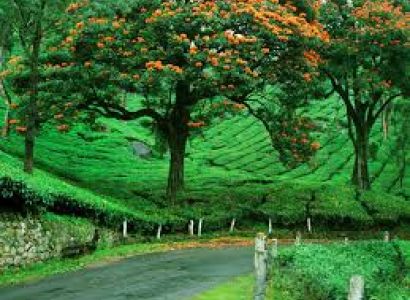 Best of Kerala Package