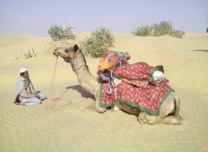 Marvels of Rajasthan Package