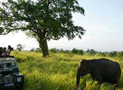 Explore Srilanka Tour