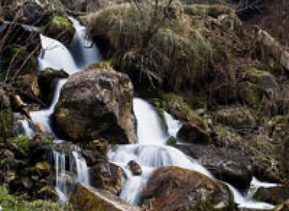 Tirthan Valley Package